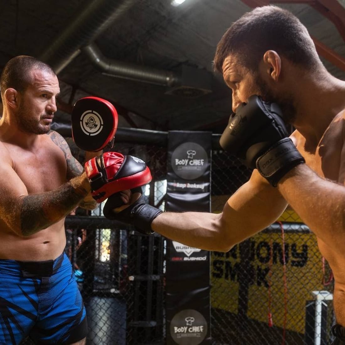 Tréninkové terče DBX Bushido typu mini - 2 ks