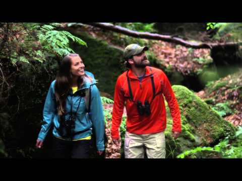 Dalekohled Steiner Safari Ultrasharp 10x42