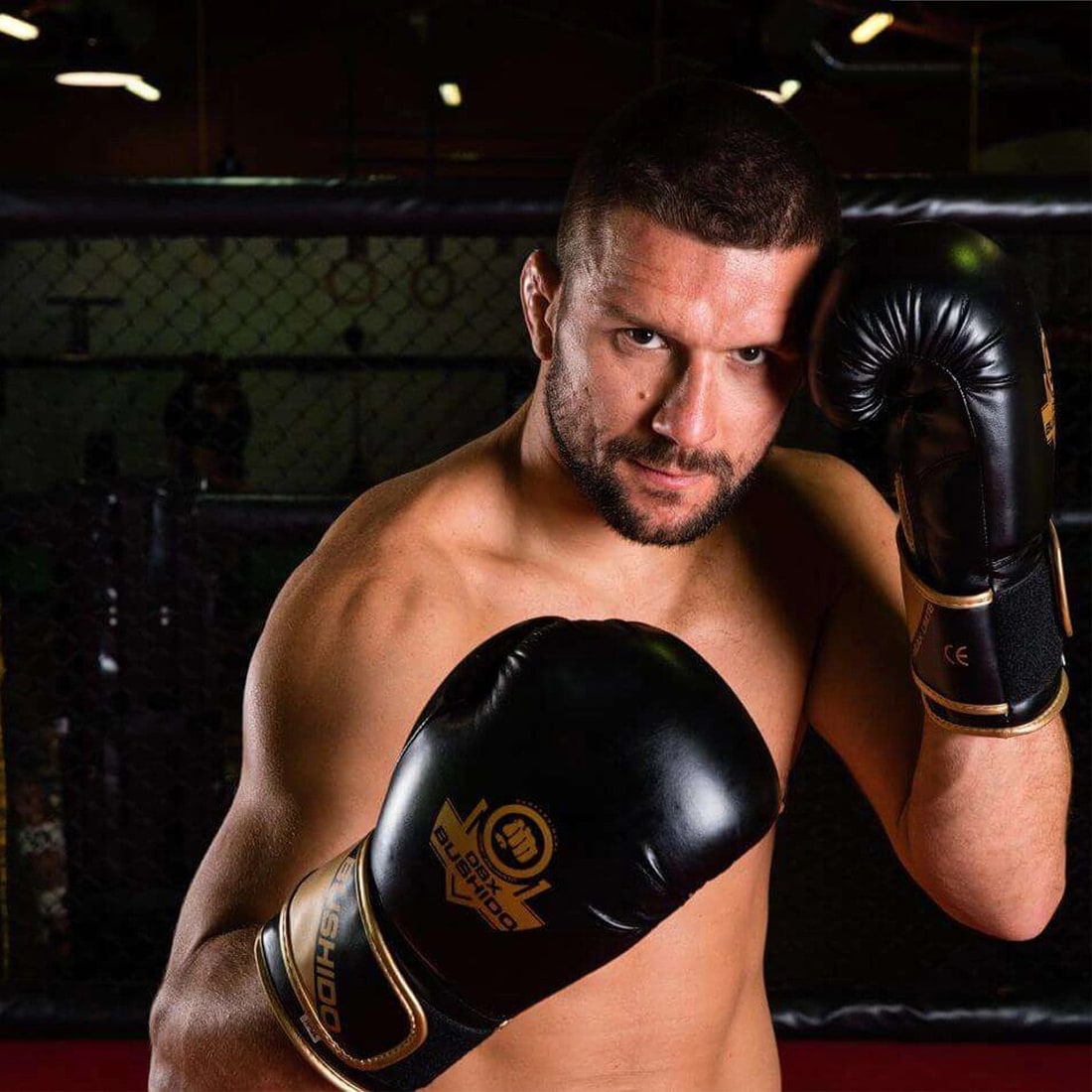 Boxerské rukavice DBX Bushido B-2V10 - černé/zlaté