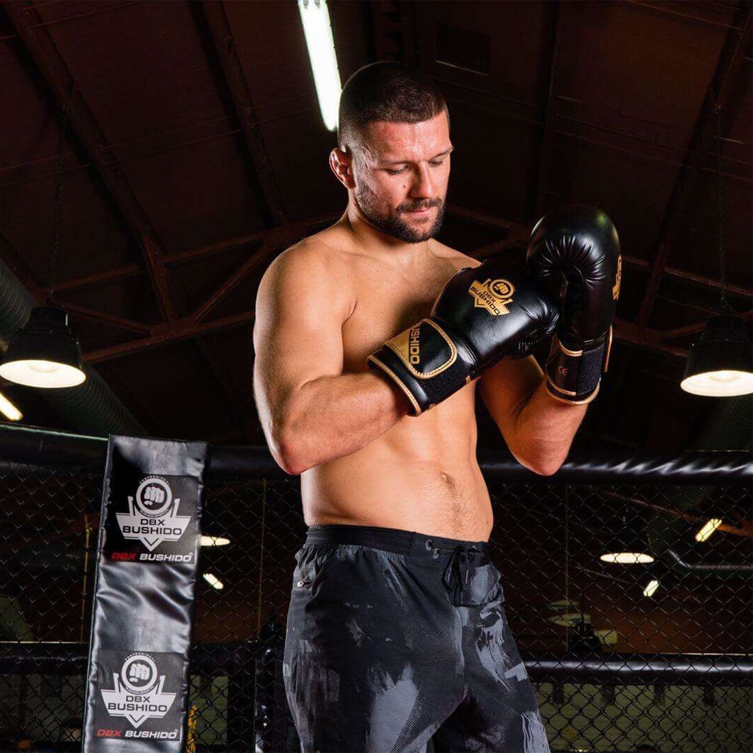 Boxerské rukavice DBX Bushido B-2V10 - černé/zlaté