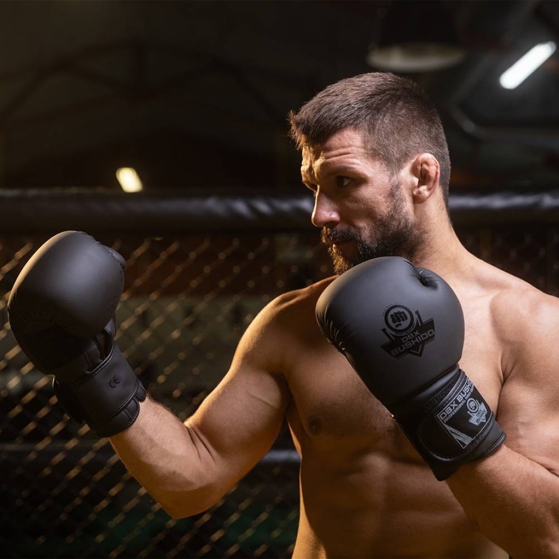 Boxerské rukavice DBX Bushido Black Master B-2V12 - černé/šedé