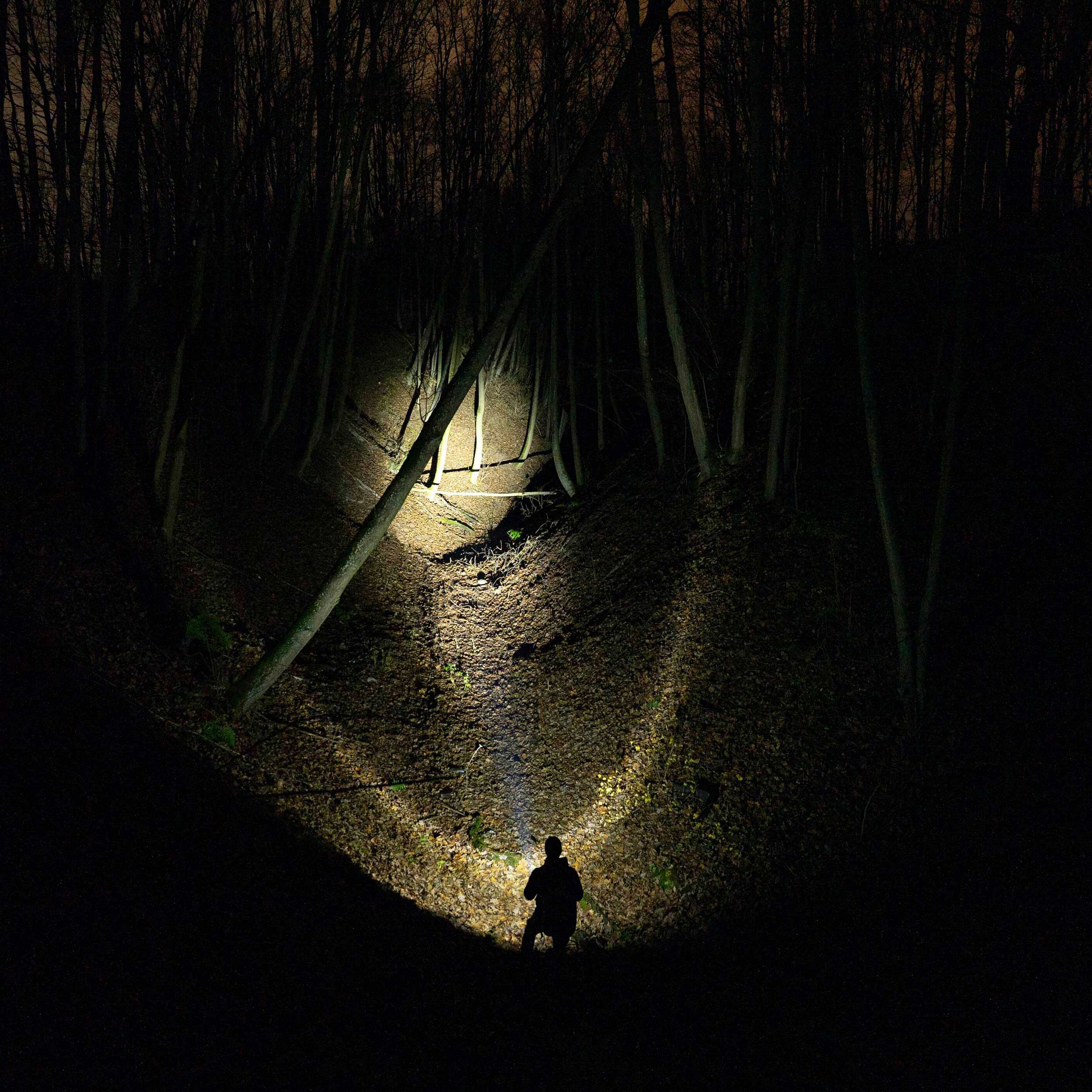 Svítilna Armytek Bear WRG