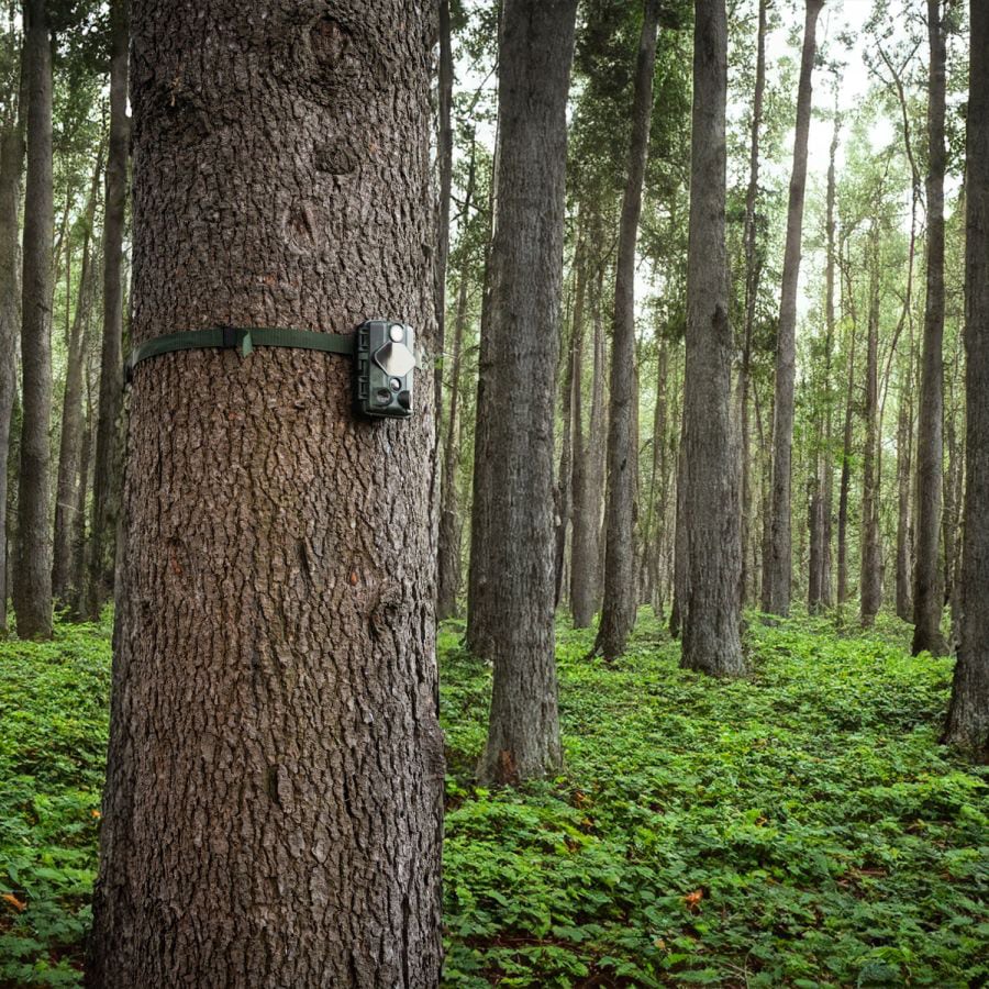 Fotopast Midland Wild Guardian Wi-Fi - 24 MPX