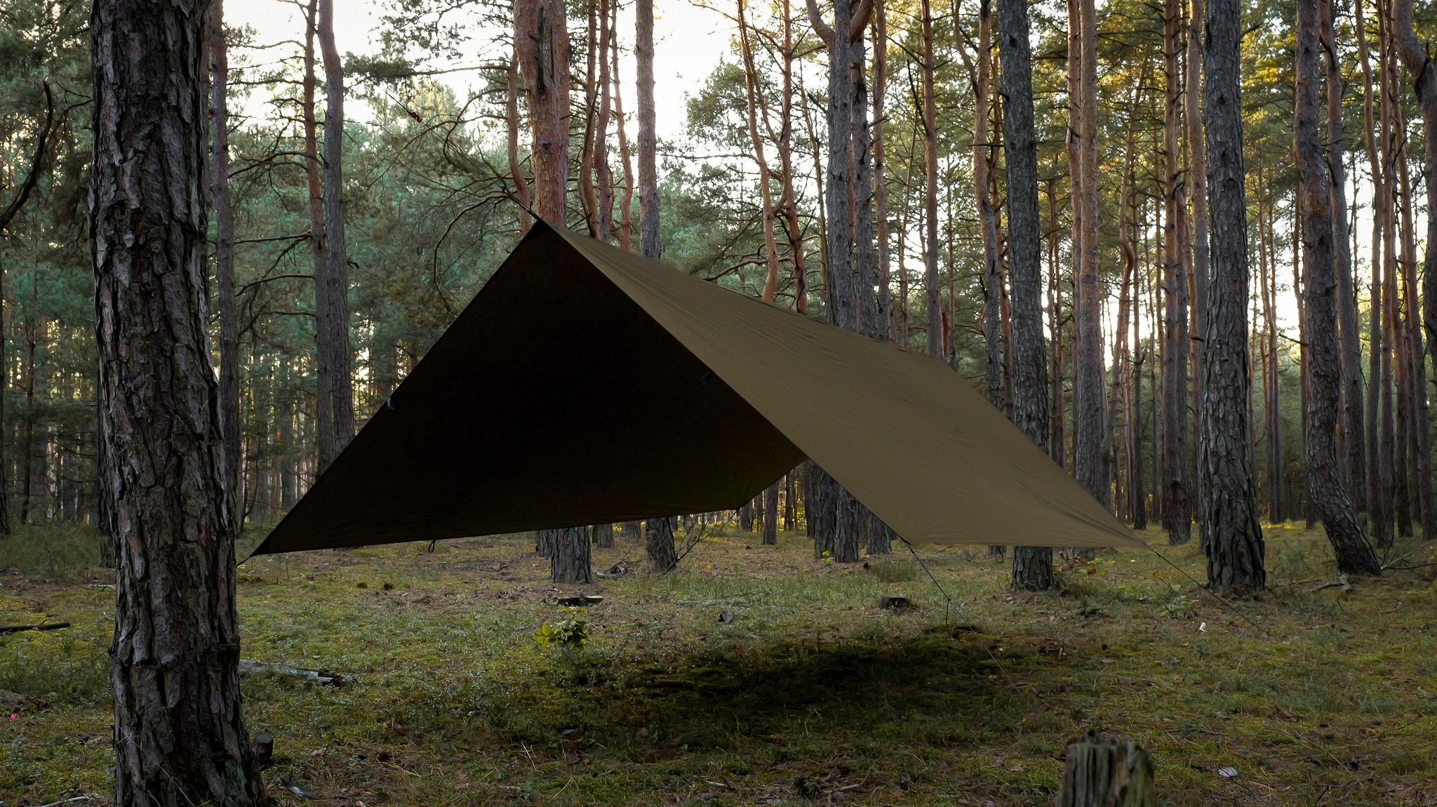 Bivakovací plachta TigerWood Tarp T2 3 × 3 m – Khaki