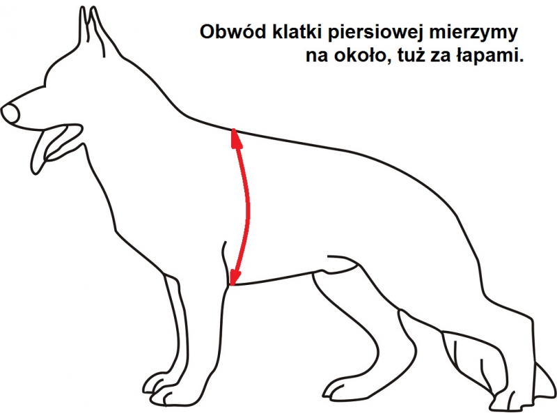Postroj pro psa K9 Thorn Charlie – Olive