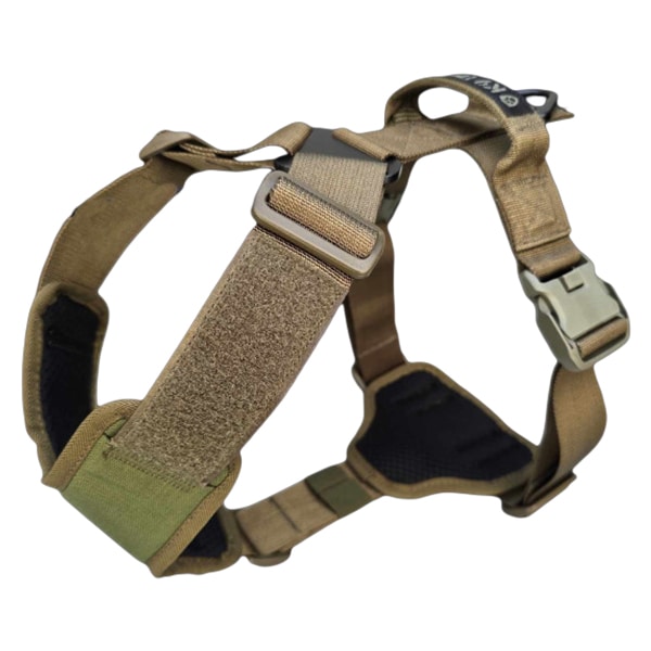 Postroj pro psa K9 Thorn Charlie – Olive
