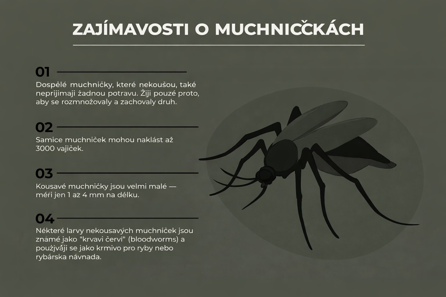 Pakomáři infographic