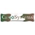 CamoSystems