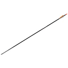 Easton - Power Flight - Carbonpfeil 31 Zoll - modell 340