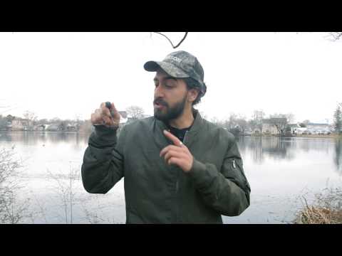 Carson - VisorMag - Lupe-Clip-Kappe 2x 