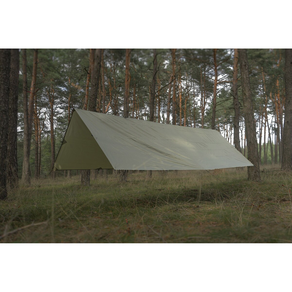 TigerWood - Termo Tarp 4,5 x 4,5 - Zeltplane - Olive