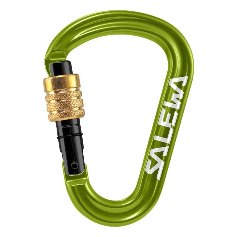 Salewa - HMS Pro - Kletterkarabiner - Fluo Green