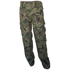 Felduniformhose 2010