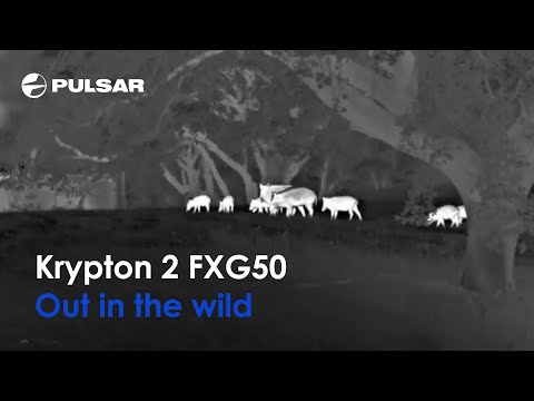 Pulsar - Krypton 2 FXG50 - Wärmebildvorsatzgerät