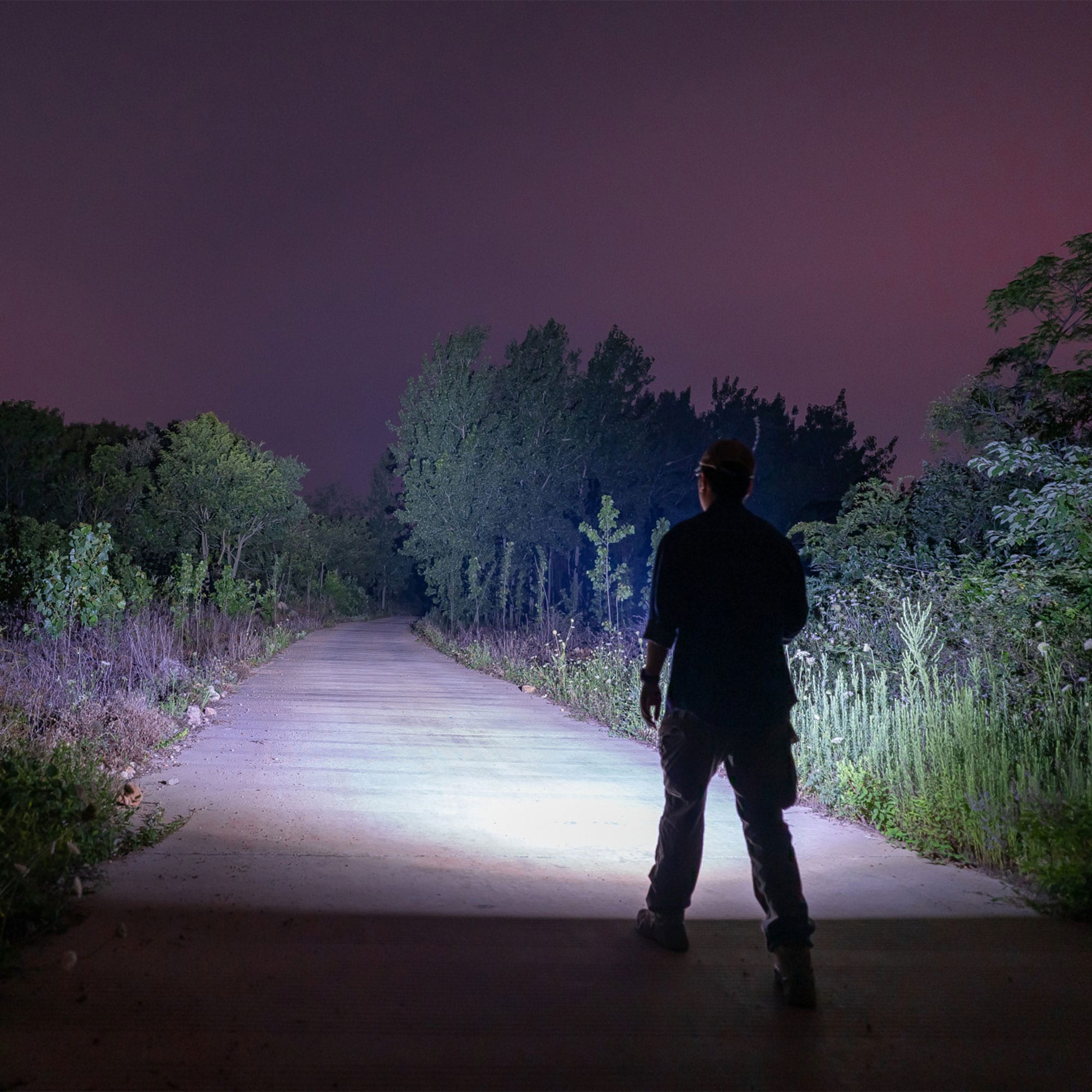 Olight - Diffuse - EDC-Taschenlampe 700 Lumen - Red