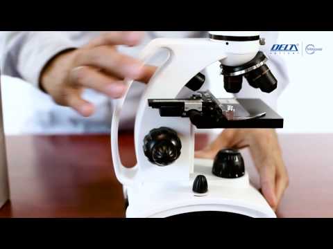 Delta Optical - BioLight 300 Mikroskop mit Delta Optical DLT-Cam Basic 2 MP Kamera