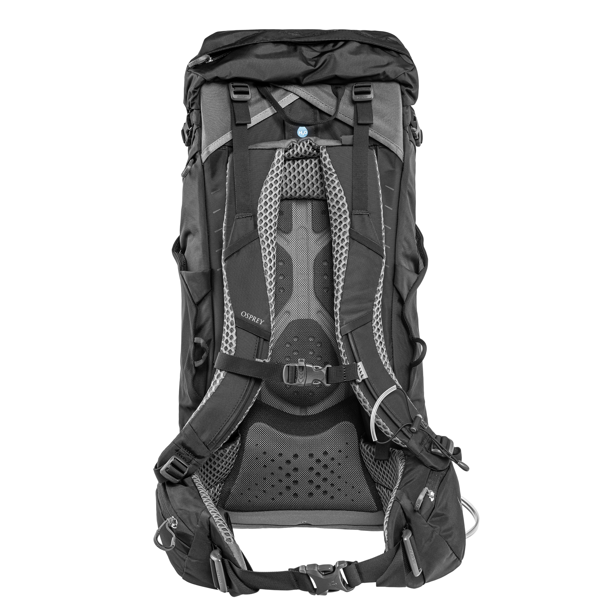 Osprey - Kestrel 36 l - Rucksack - Black