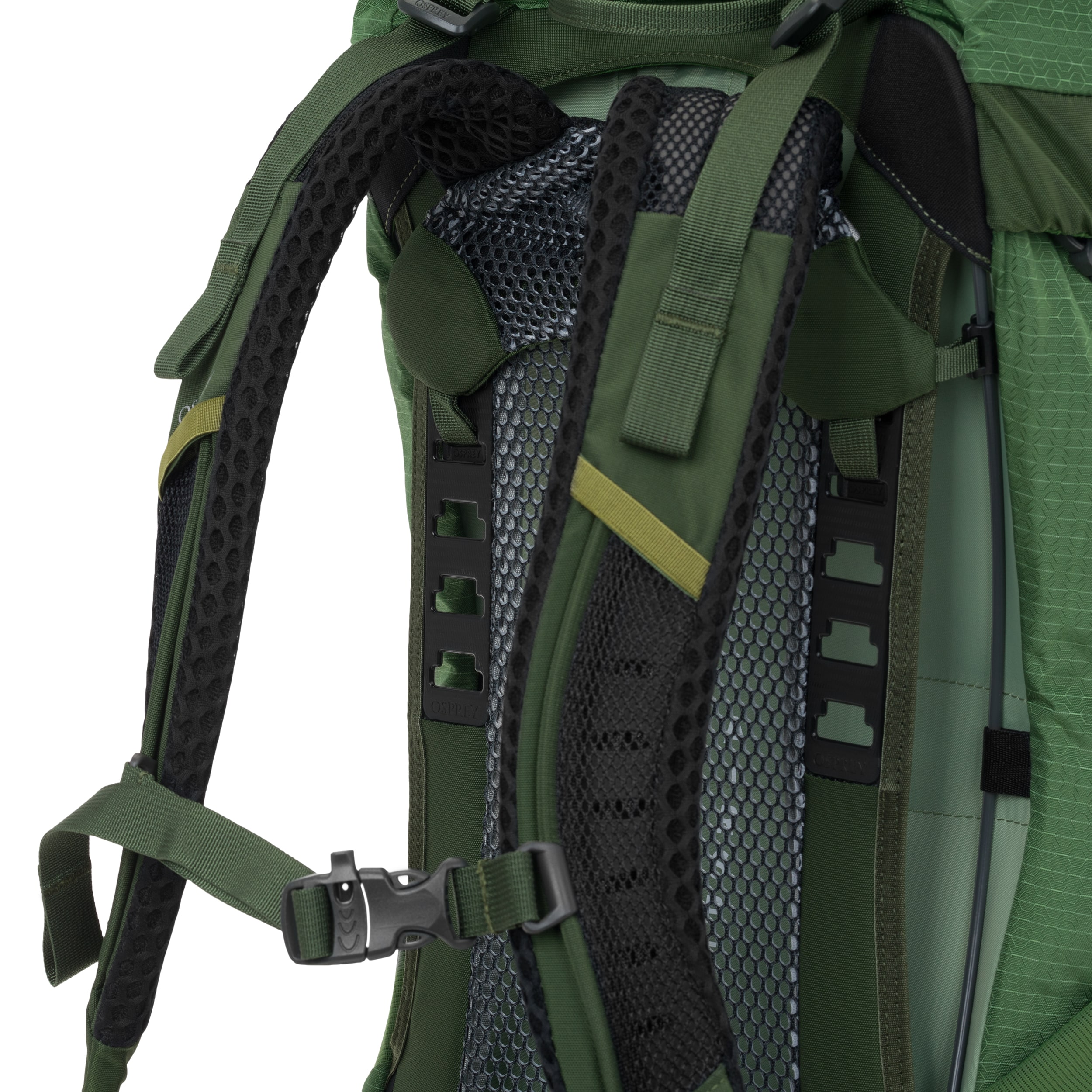 Osprey - Stratos Wanderrucksack 36 l - Seaweed Matcha Green