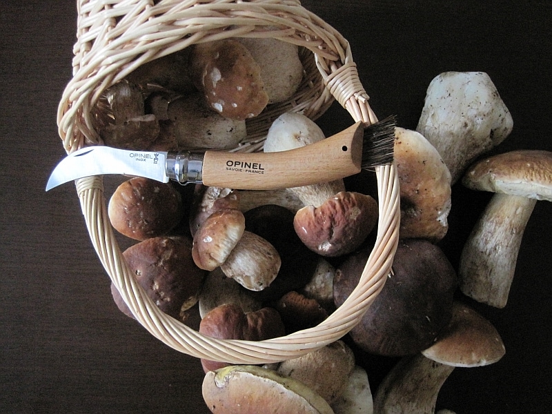 Opinel - No.8 Mushroom - klappbares Pilzmesser mit Buchenholzgriff