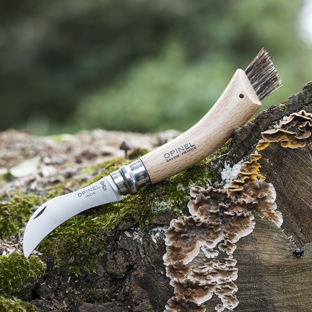 Opinel - No.8 Mushroom - klappbares Pilzmesser mit Buchenholzgriff