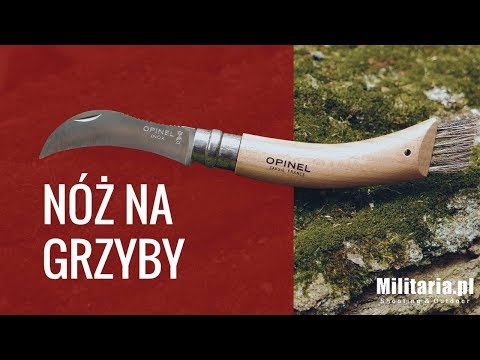 Opinel - No.8 Mushroom - klappbares Pilzmesser mit Buchenholzgriff