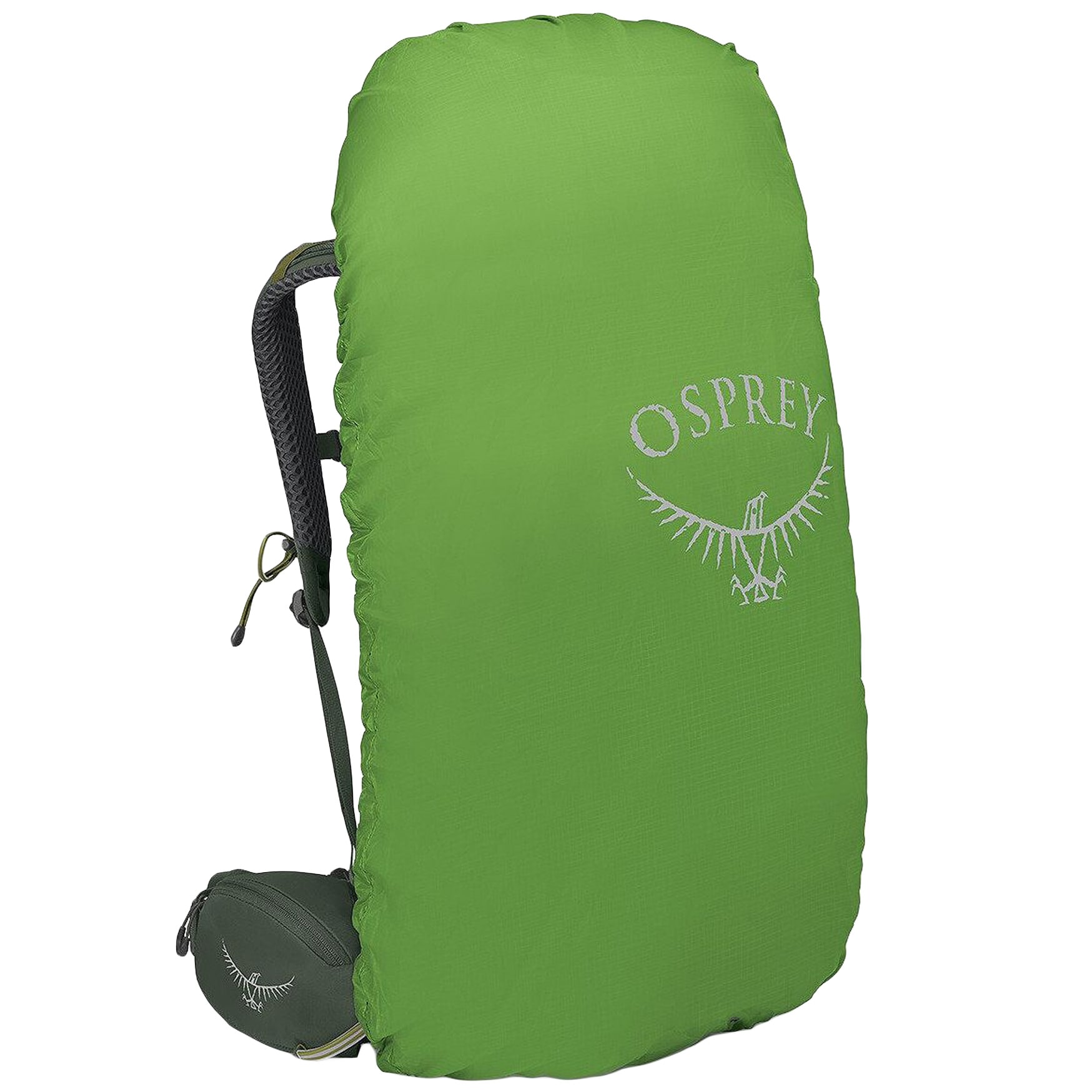 Osprey - Kestrel L/XL Rucksack 48 l - Bonsai Green