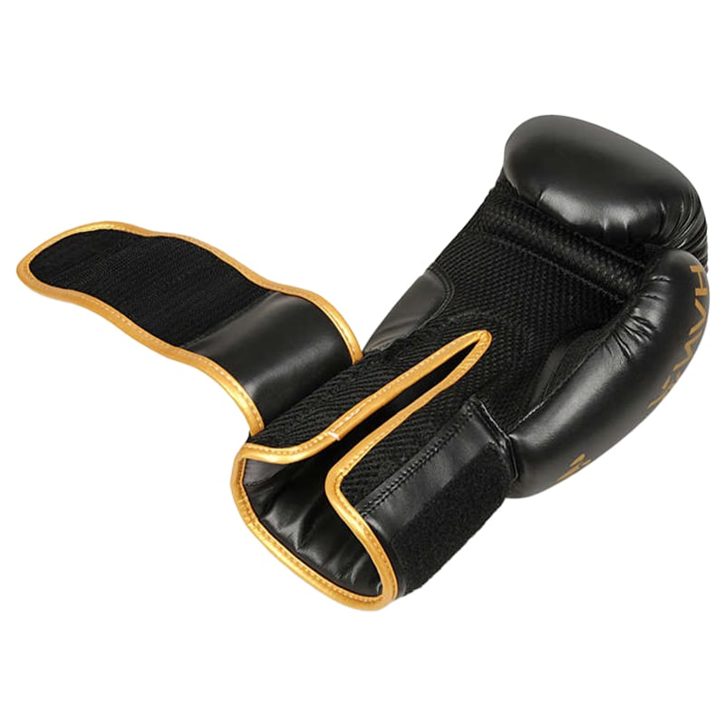 DBX Bushido - Hawk B-2V17 Boxhandschuhe - Schwarz