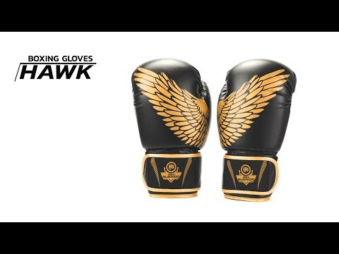 DBX Bushido - Hawk B-2V17 Boxhandschuhe - Schwarz