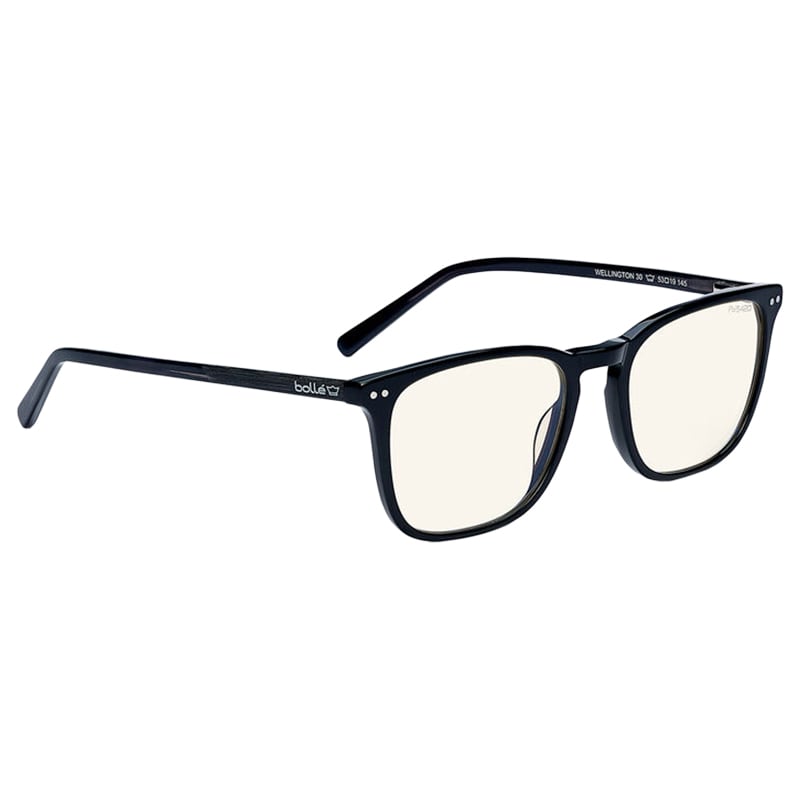 Bolle - Wellington Schutzbrille - Shiny Black 