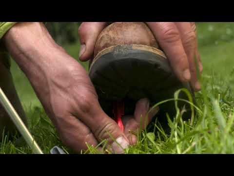 Husky - Sawaj Camel - 2-Personen Zelt - Green