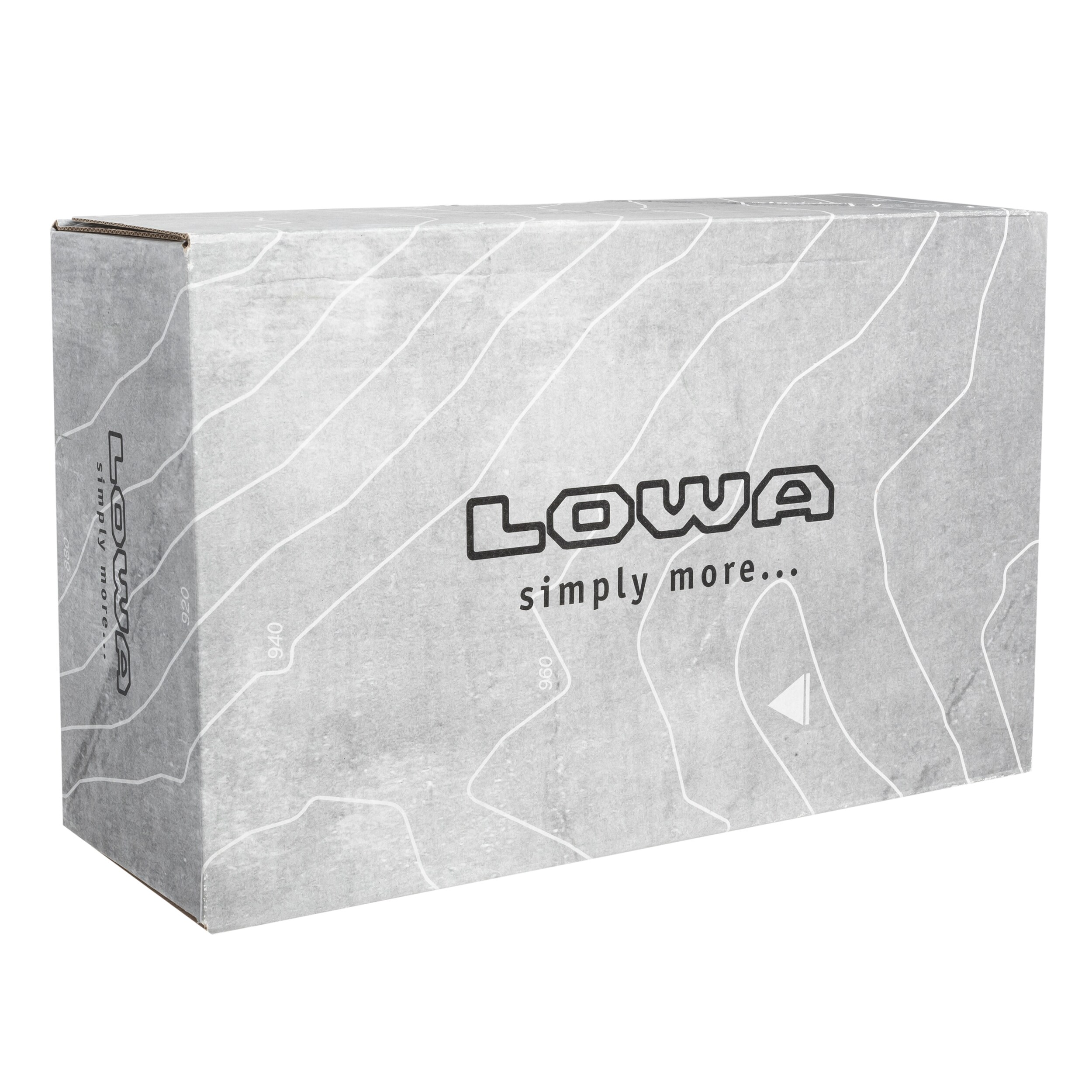 Lowa - Renegade GTX Low Schuhe - Black/Graphite