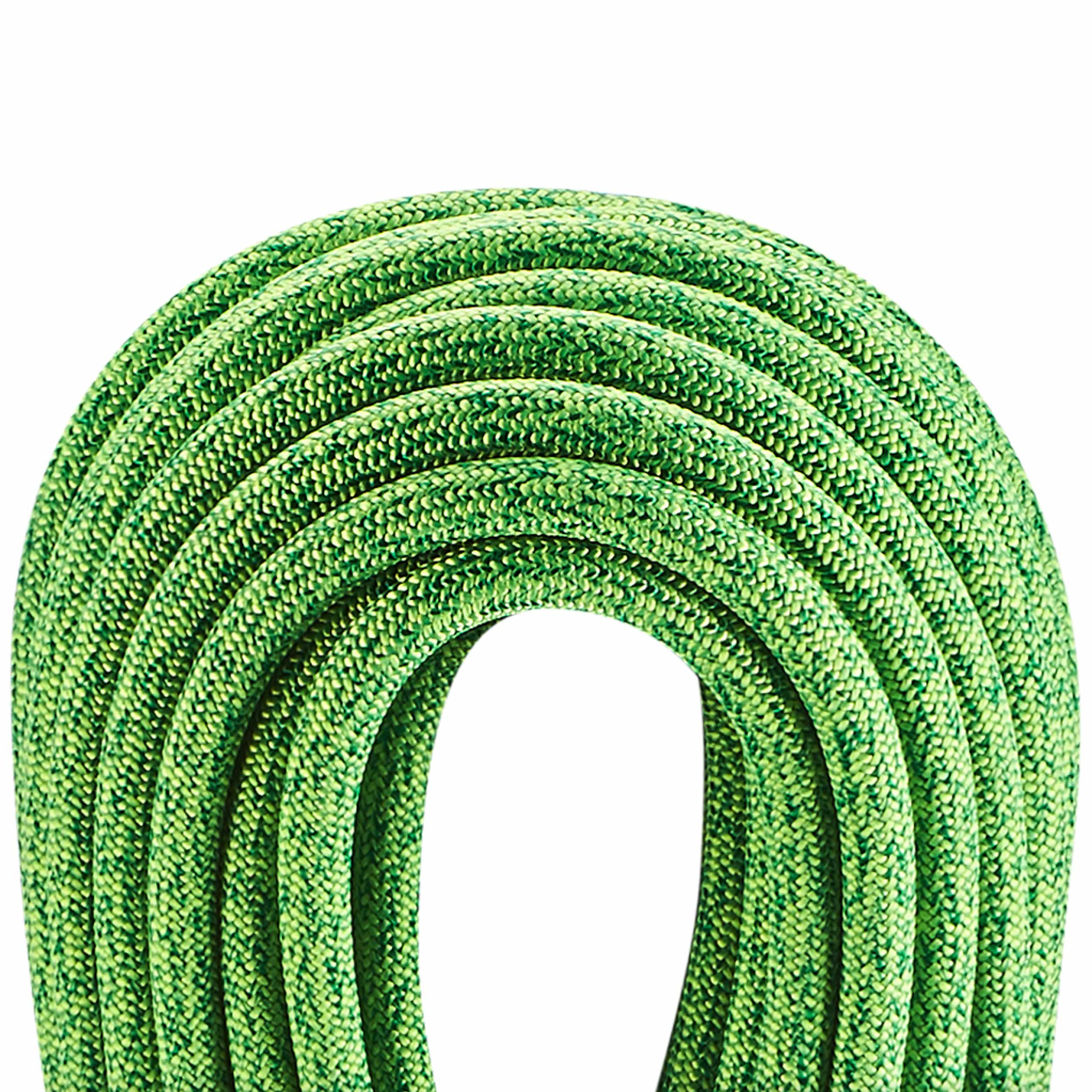 Edelrid - Boa Gym Dynamisches Seil 9,8 mm 50 m - Oasis