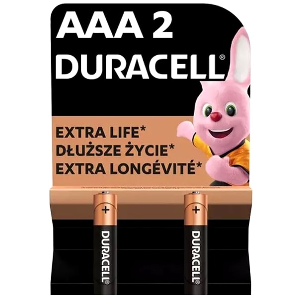 Duracell - Basic Extra Life LR03/AAA Batterie - 2 Stk.