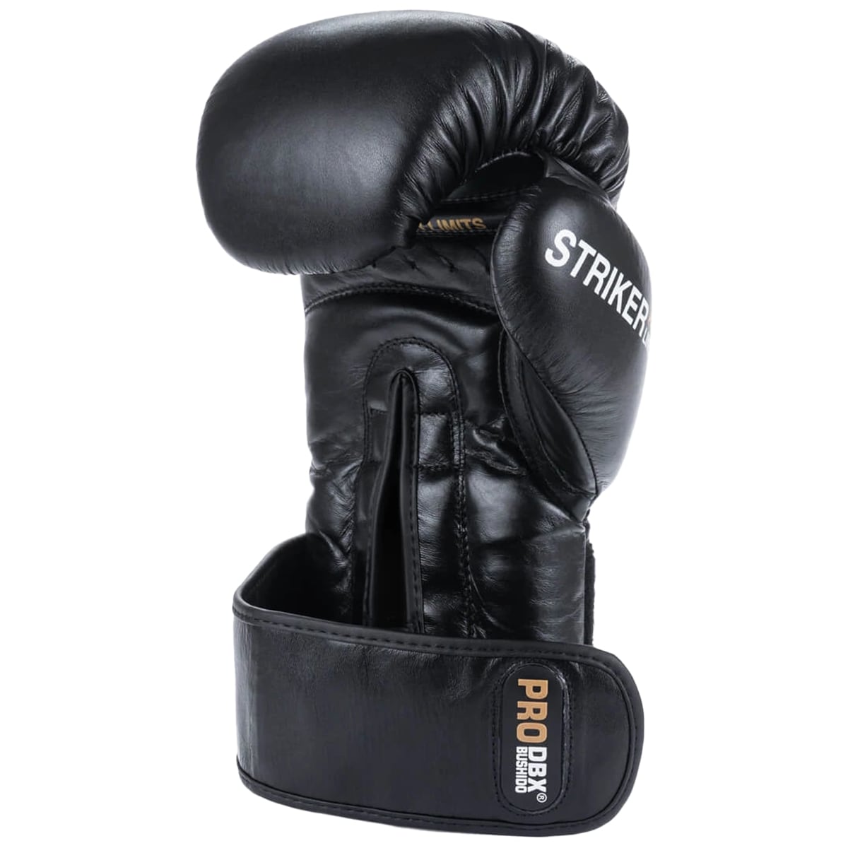 DBX Bushido - Striker Boxhandschuhe - Schwarz