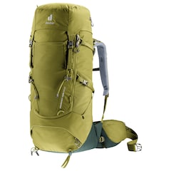 Deuter - Aircontact Core Wanderrucksack 40+10 l - Cactus-ivy