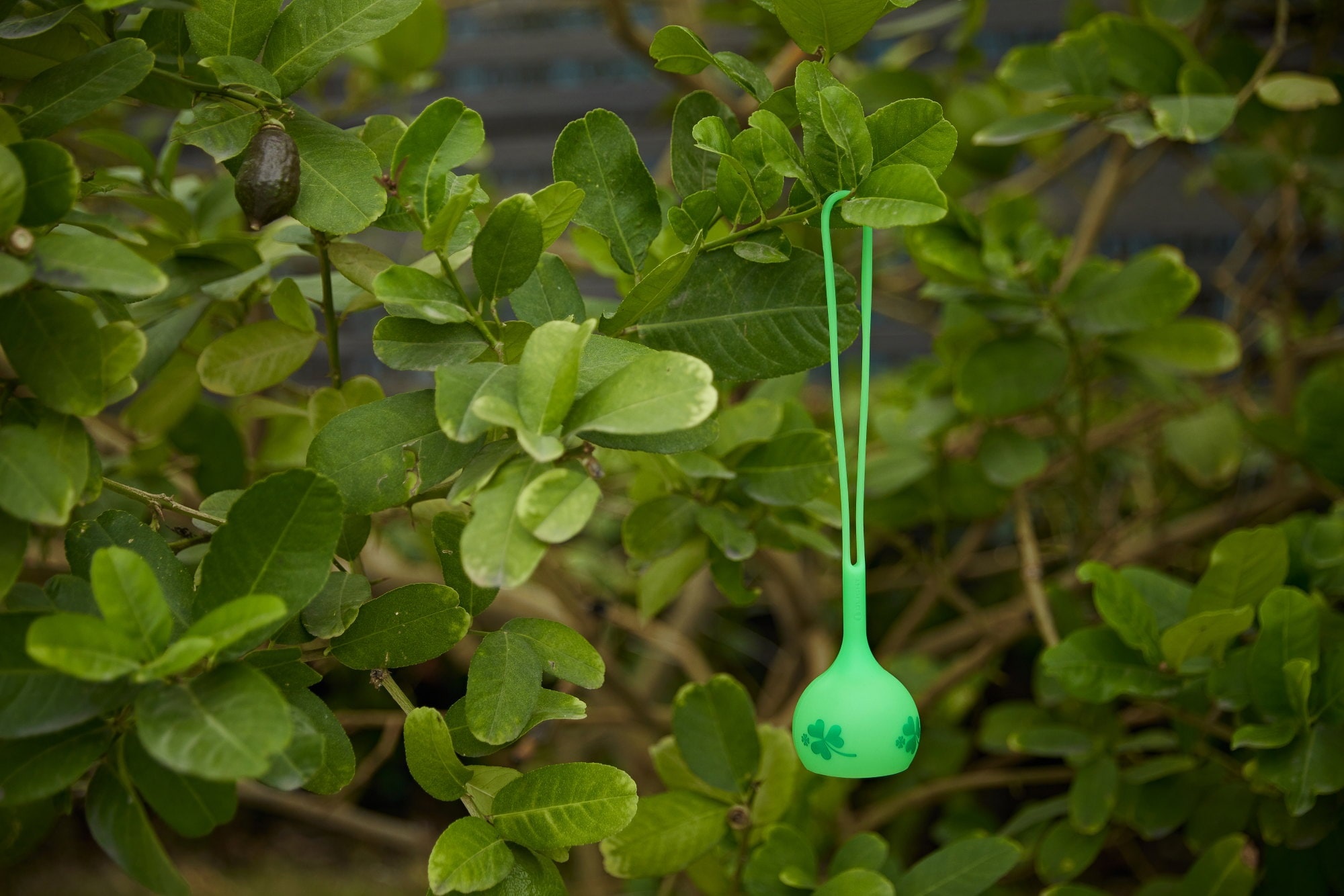 Osling - Olight Obulb Lampenhalter - Clover Green