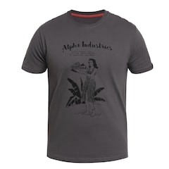 Alpha Industries -Hawaii T-Shirt - Vintage Grey