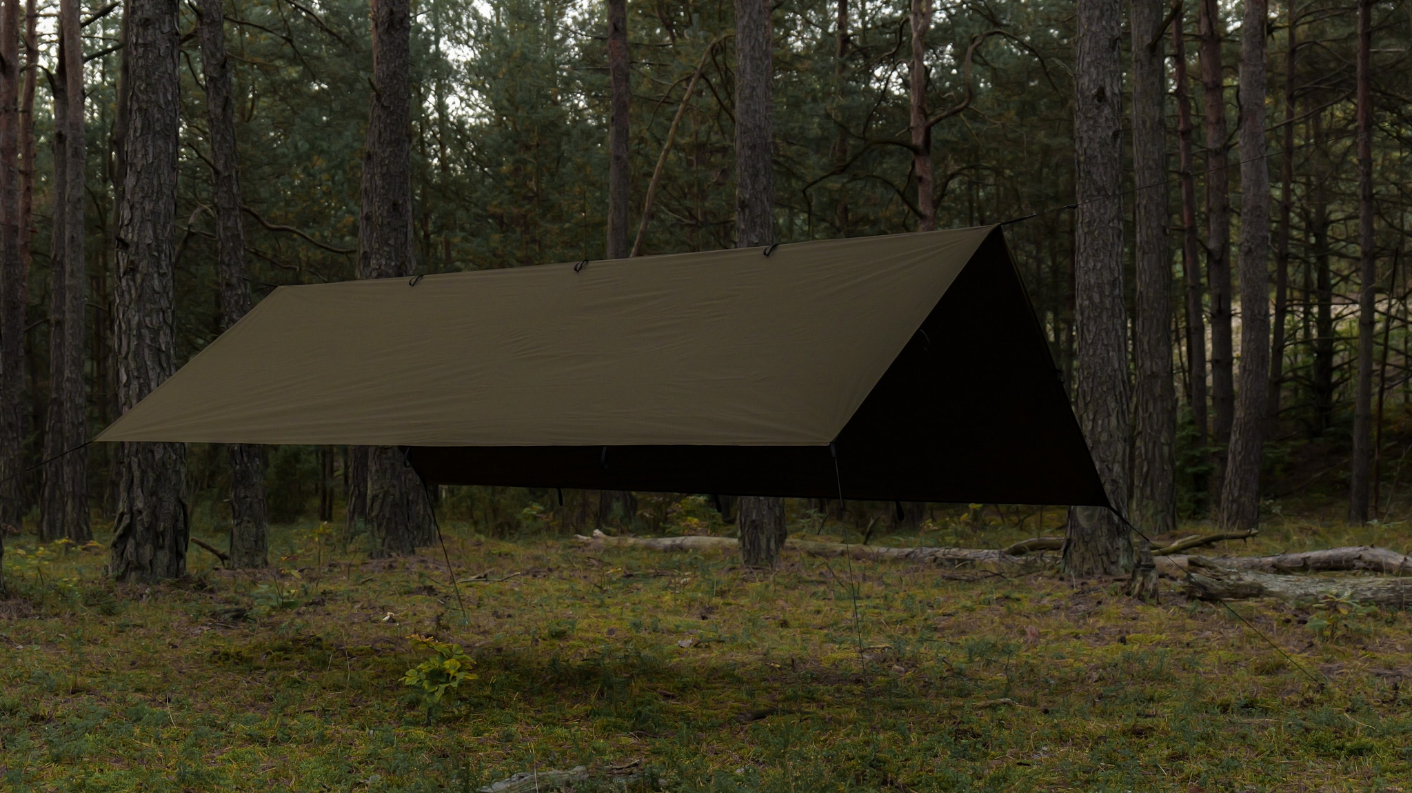 TigerWood - Tarp T2 3 x 2 m - Zeltplane - Khaki