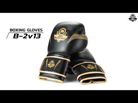 DBX Bushido - B-2V13 Boxhandschuhe - Schwarz-Gold