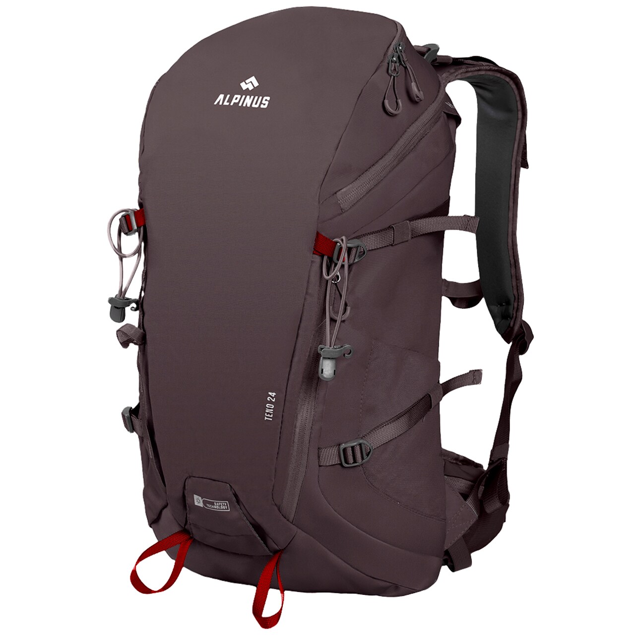 Alpinus - Teno Rusksack 24 l - Grau