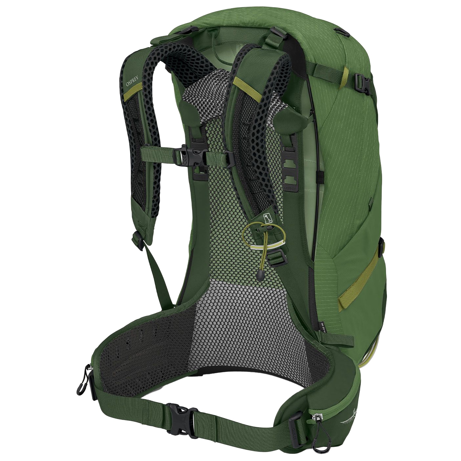 Osprey - Stratos Rucksack 34 l - Seaweed / Matcha Green