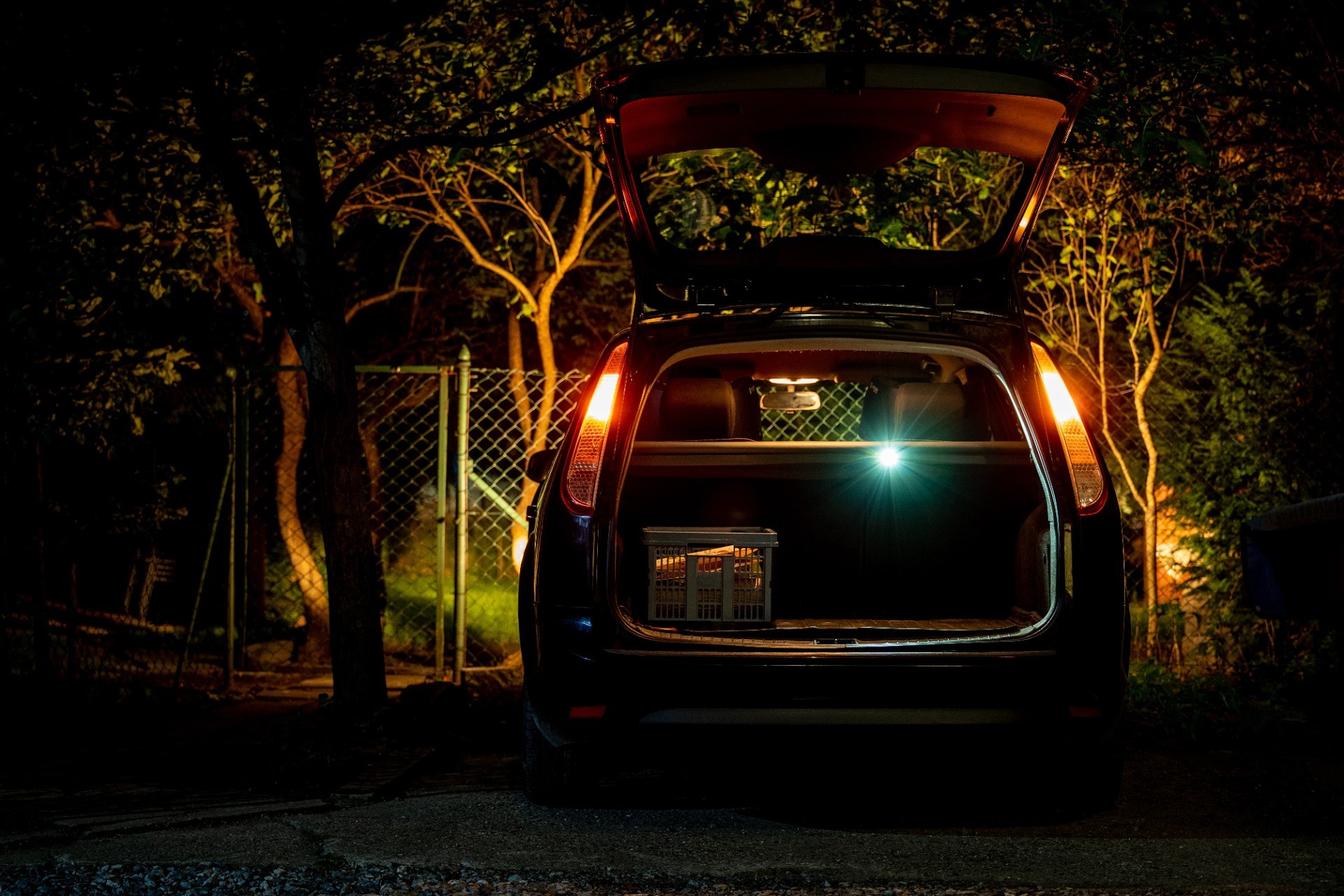 Olight - Oclip Pro Fortune Snake Special Edition Akku Taschenlampe - 500 Lumen