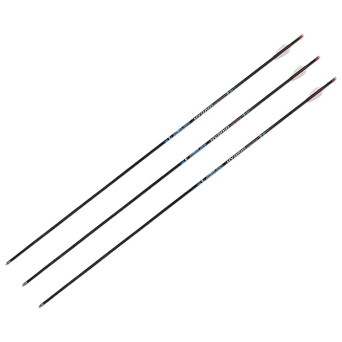 Avalon - Hybrid 500 Carbonpfeile 30