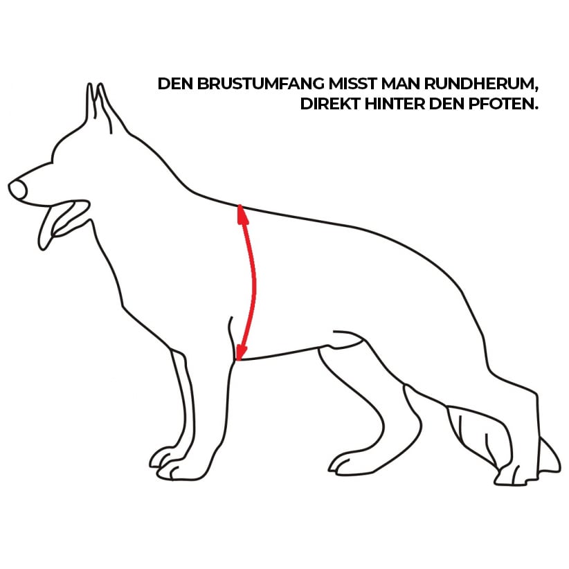 K9 Thorn - Charlie Hundegeschirr - Olive