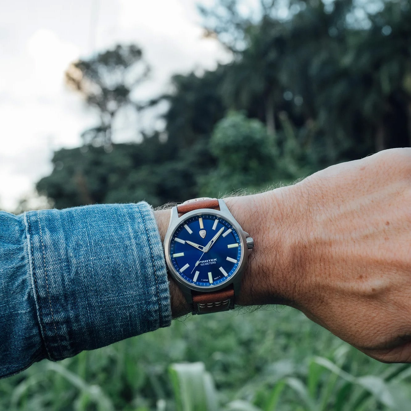 ProTek - PT3003 Titanium Armbanduhr