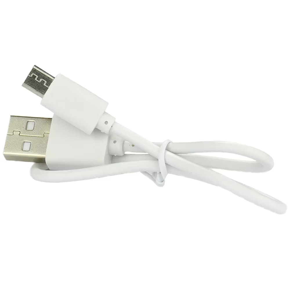 everActive - 3 V Akku 16340 mit Schutzvorrichtung, 700 mAh - 2 Stk.