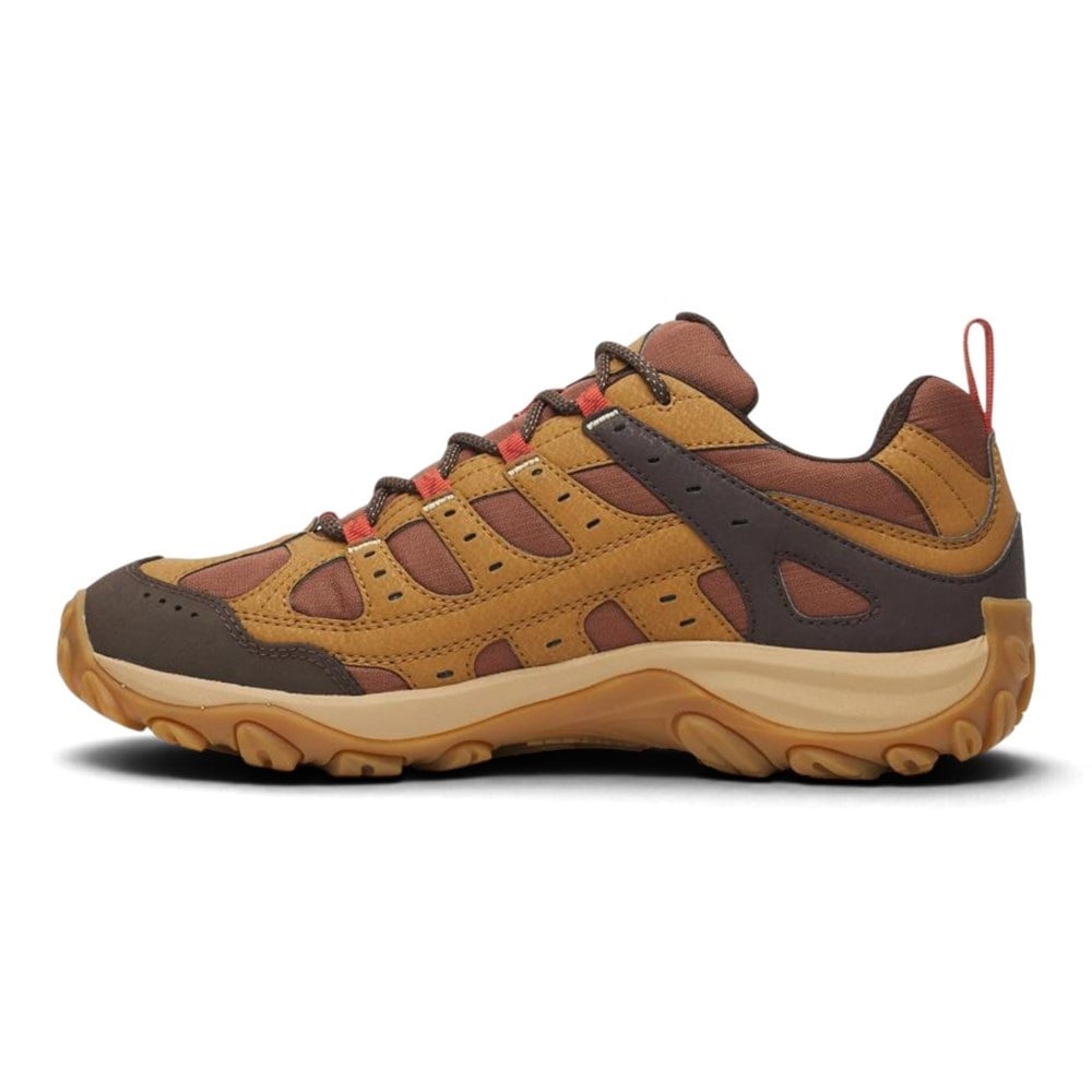 Merrell - Accentor 4 GTX Schuhe - Cabin