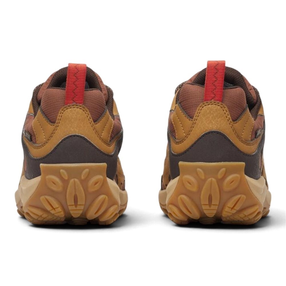 Merrell - Accentor 4 GTX Schuhe - Cabin