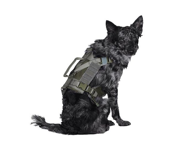 Primal Gear - Taktisches Hundegeschirr - ranger green