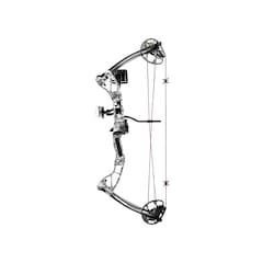 Poe Lang - Rex Quad Compoundbogen - Skull Camo - Set